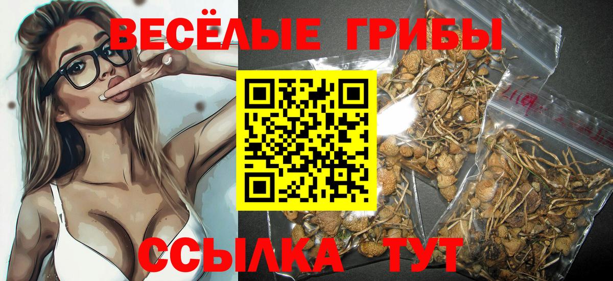 Псилоцибиновые грибы MAGIC MUSHROOMS Саратов