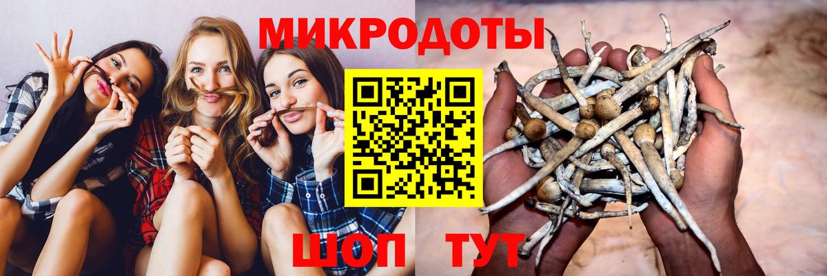 Псилоцибиновые грибы прущие грибы  Вход с VPN  Саратов 